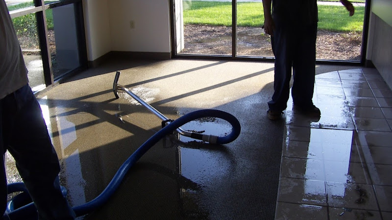 Experts of Lilac City