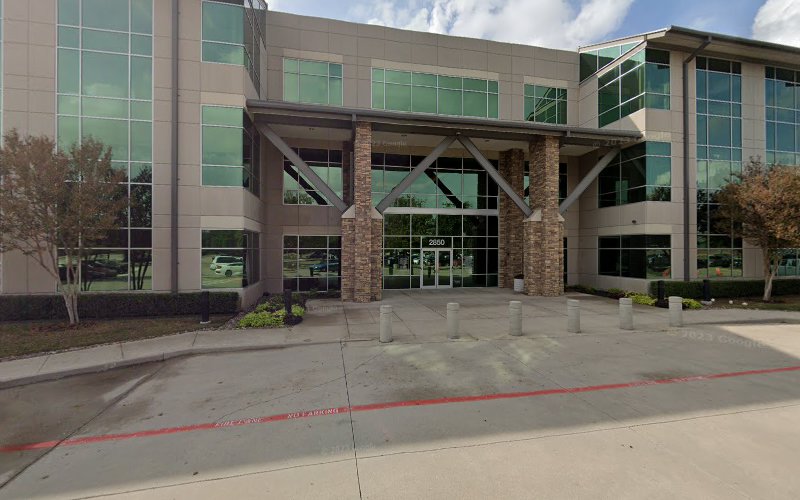 Mold Removal Pioneers Lewisville