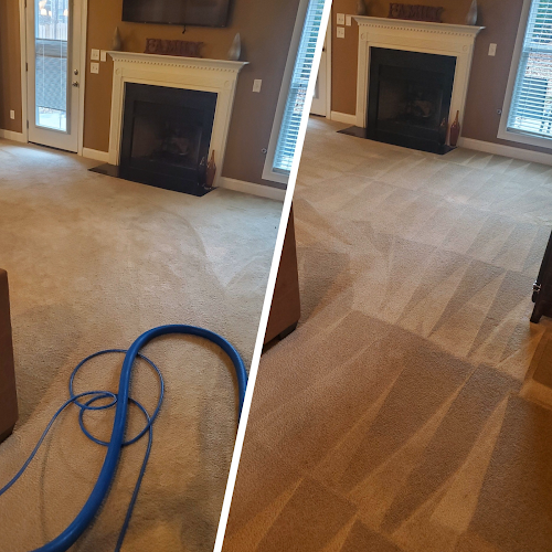 Green Solutions Carpet