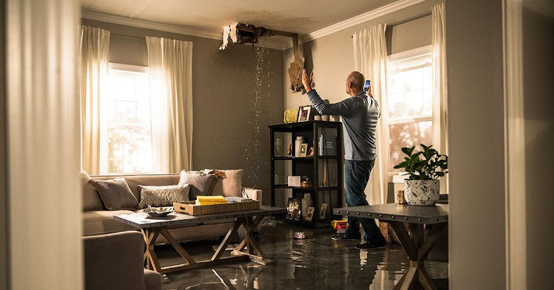 Vip Assistance Water Damage Remediation and Mold Removal