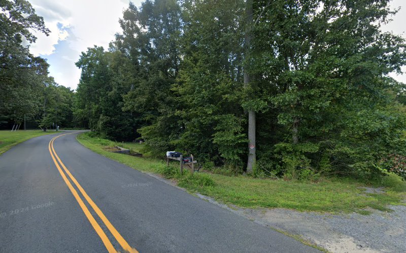 Independant Mold Specialists