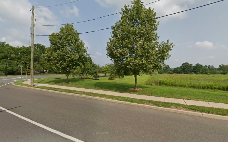 BYR - Mold Removal & Mold Remediation Services Co, NJ