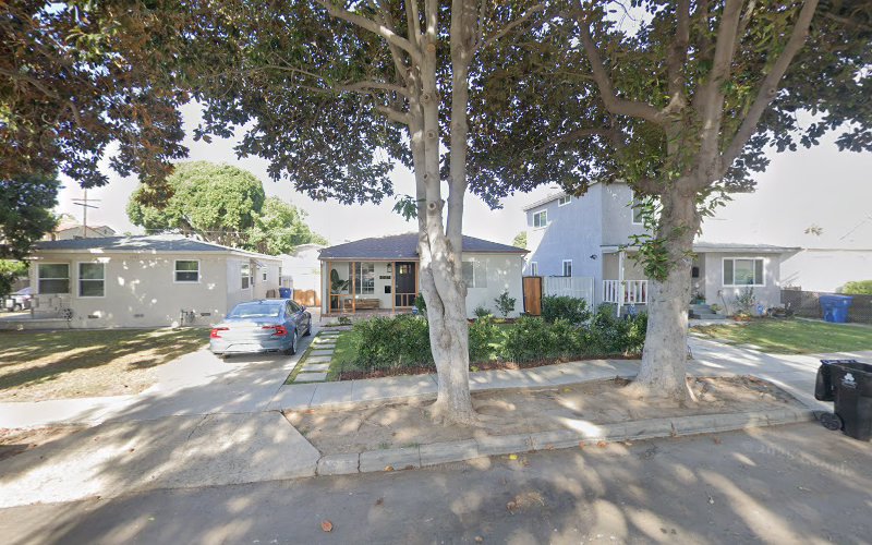 Harry Mold Protectors