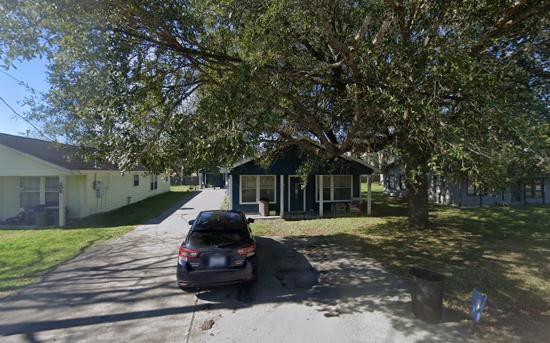 ECQ Mold Removal League City