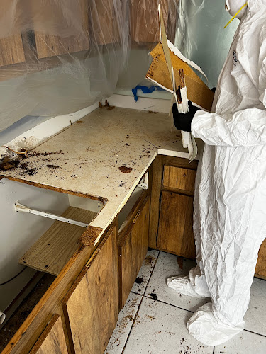 911 Mold Testing LLC