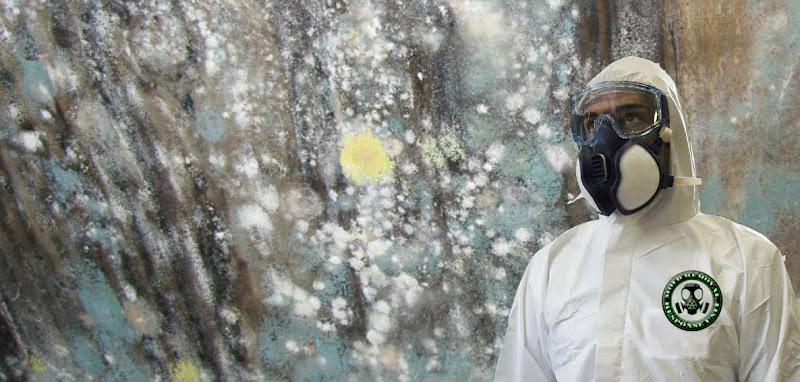 A1 Water & Mold Removal