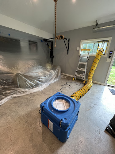 Green Guard Mold Remediation of Edison