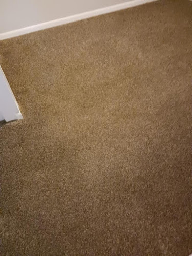 Extreme Carpet & Upholstery Cleaning