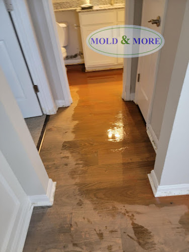 Mold & More, Property Restoration Group