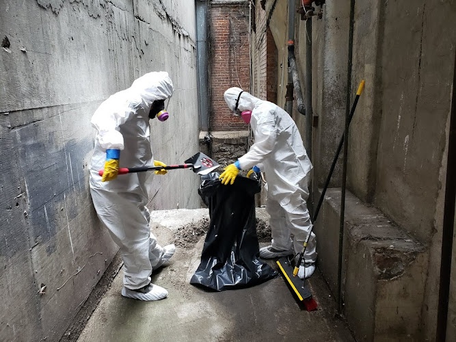 Discount Mold Removal Inspection and Testing