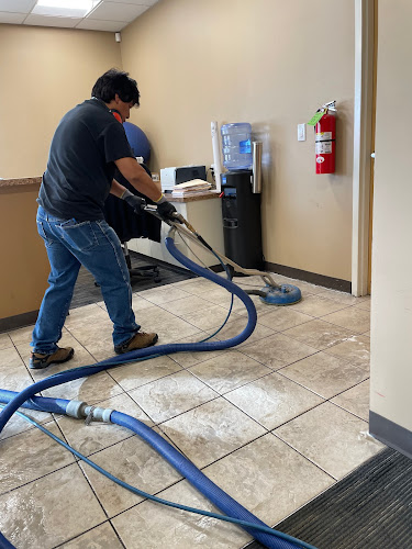 Bear Cleaning & Restoration