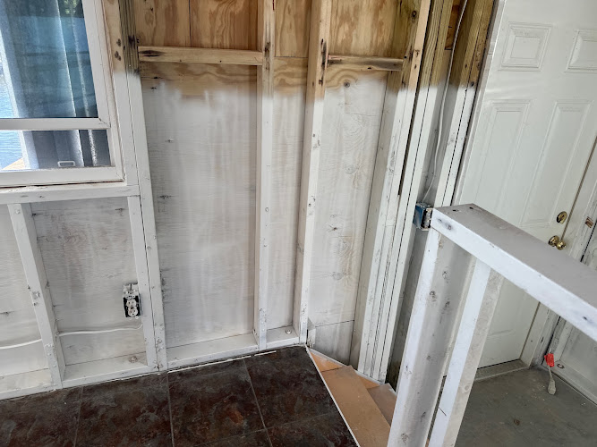 Moldolgy Testing and Inspection