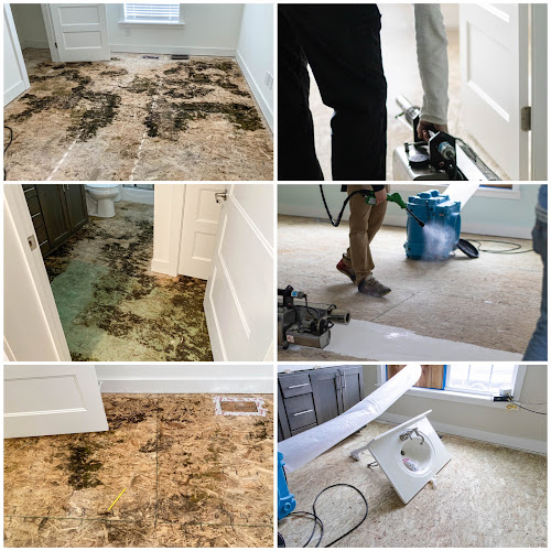 PuroClean of Cape Fear