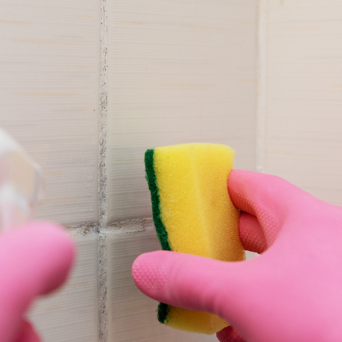 Infekti Mold Removal