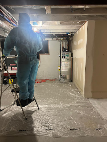 New Jersey Mold Specialist