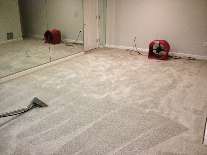 E-Z Clean Carpet & Upholstery LLC