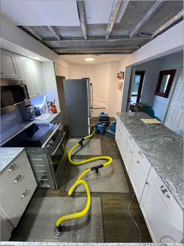 Water Guardians Fire Water & Mold