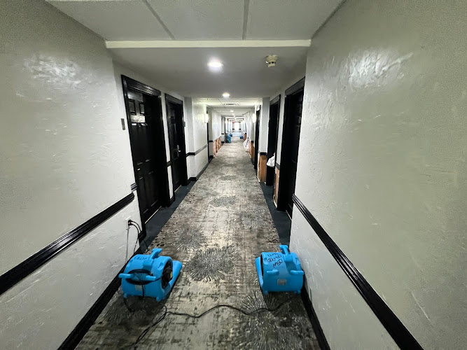 Pineapple Restorations