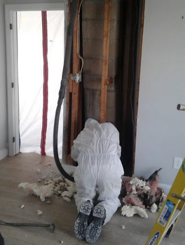 Mold Remediation Los Angeles Experts