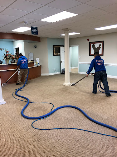 Williams Carpet Care