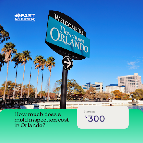 Fast Mold Testing - Orlando