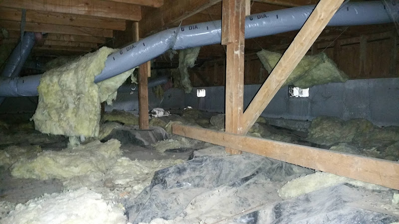 Olympic Peninsula Pest Control