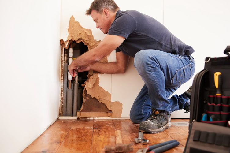 Asheville Pro Water Damage Services