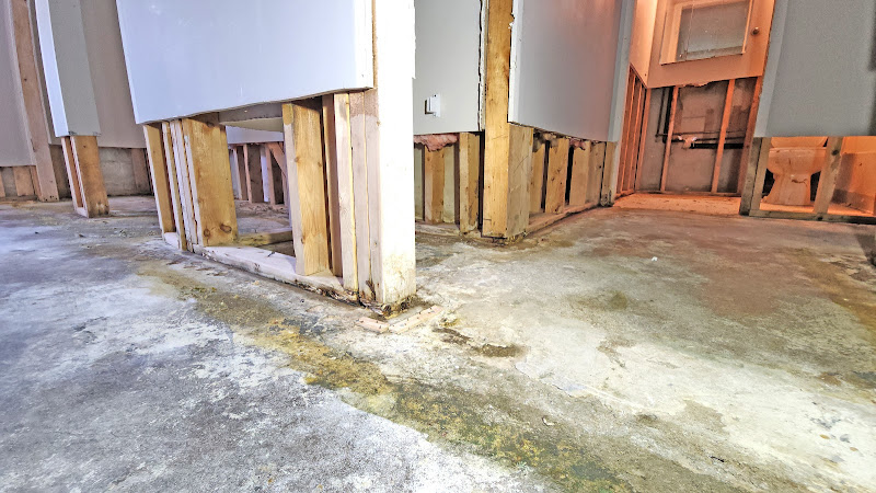 DryHero Water & Mold