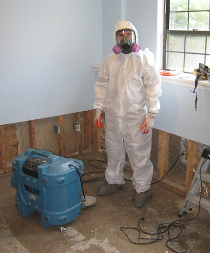 Valor Mold Removal