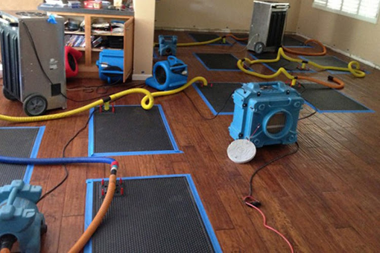 Wharton Water Damage Restoration Services