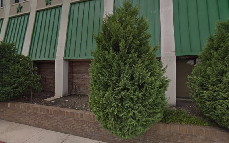 Humble Mold Removal Service