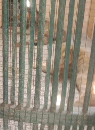 Gold Water Mold Fire Damage