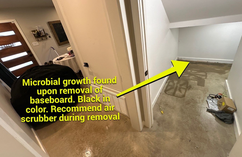 Rally Point Restoration LLC