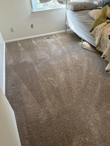 Dynamic Carpet Care