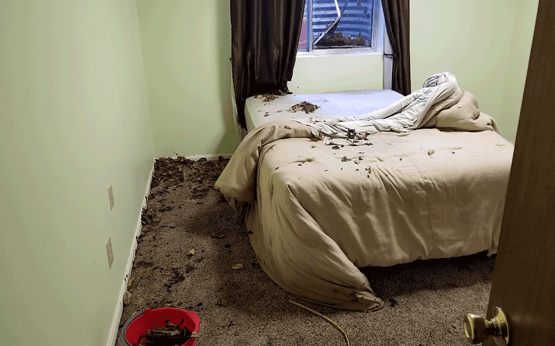 Trinity Water Restoration