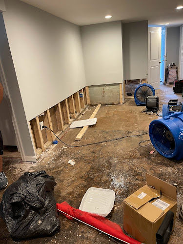 Watery Dewing Disaster Restoration