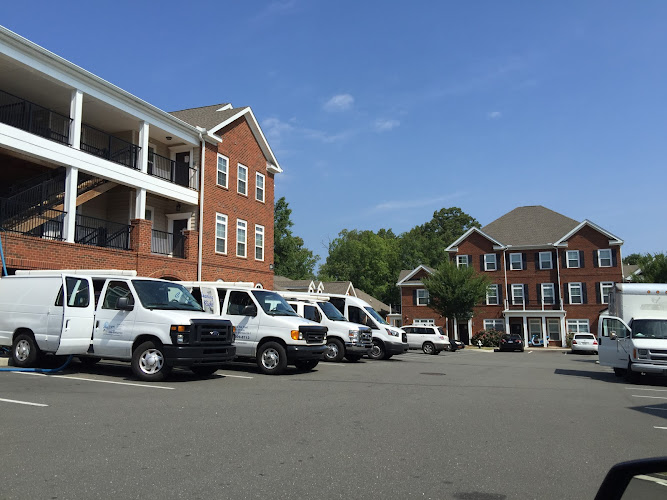 mega steam carpet cleaning