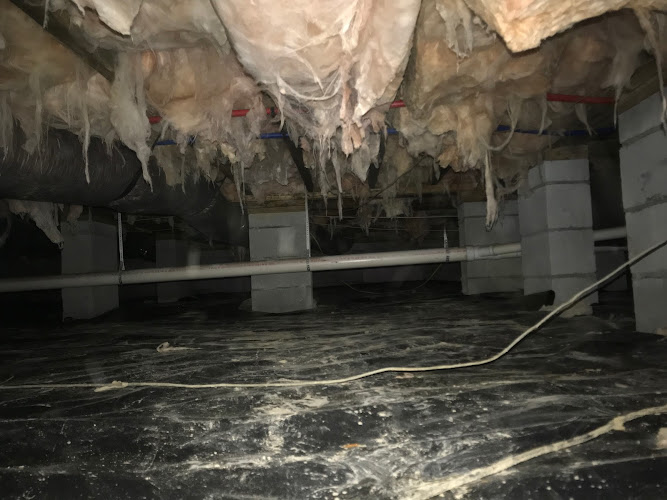 ASD Environmental Services