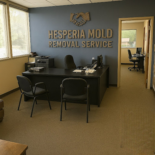 Hesperia Mold Removal Service