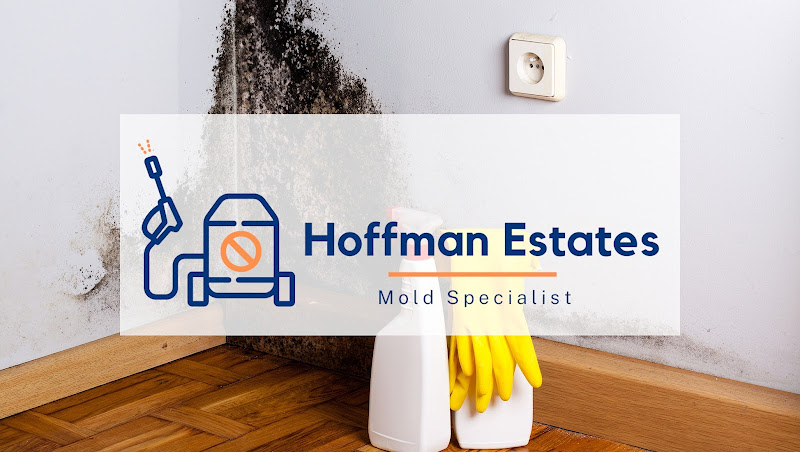 Hoffman Estates Mold Specialist