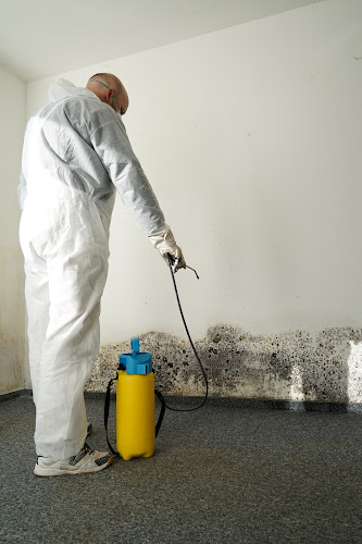 SIMESOTA Restoration