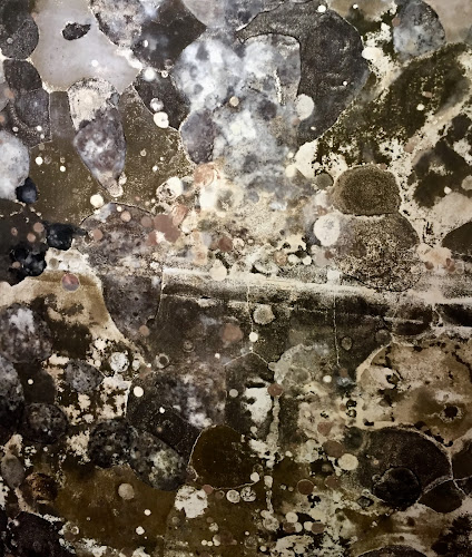 Superior Mold Solutions Inc