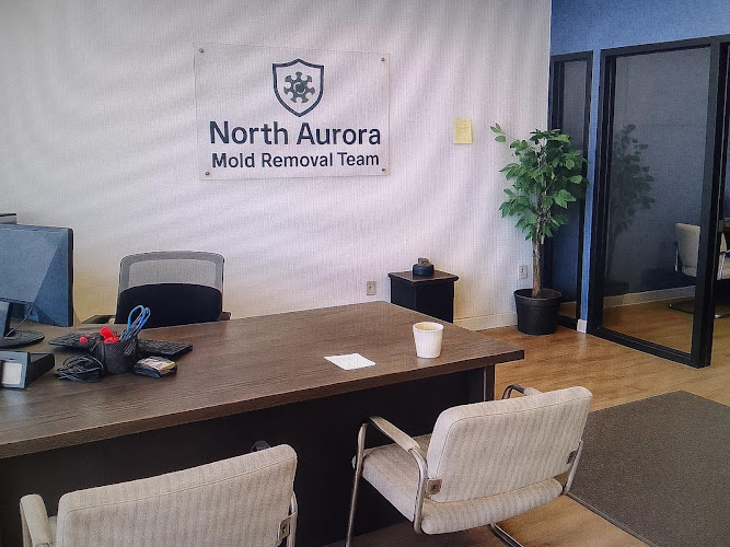 North Aurora Mold Removal Team