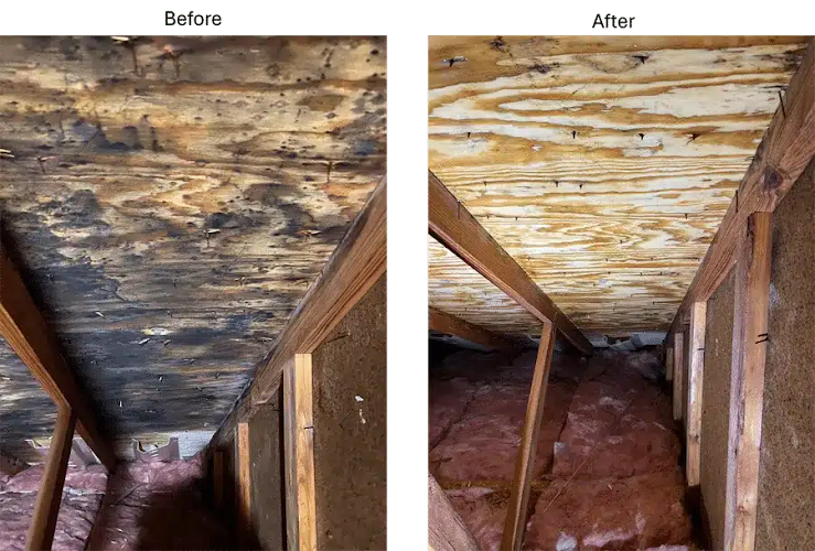 JC Environmental LLC