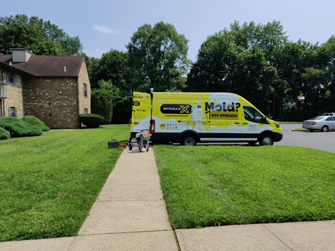 SpreadX Mold Specialists - Jackson NJ