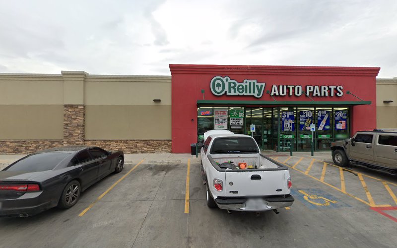 San Antonio Mold Specialists