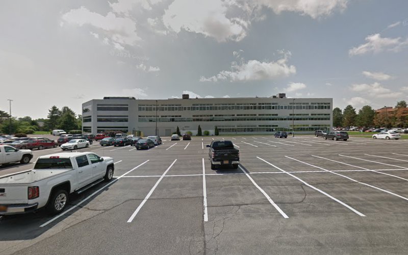 Comprehensive Mold Mangement