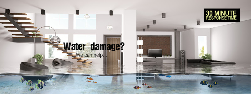 A Premium Restoration