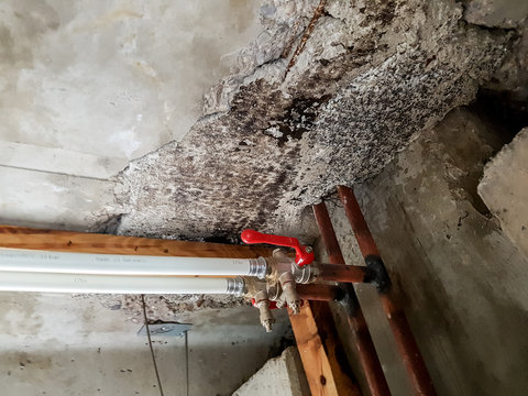 Water Damage Repair & Restoration - NoFlood Boerum Hill - Brooklyn