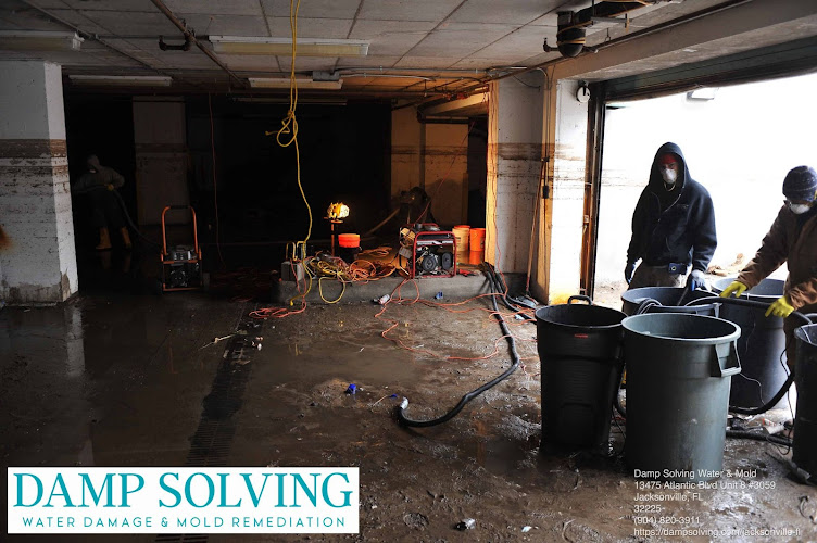 Damp Solving Water & Mold